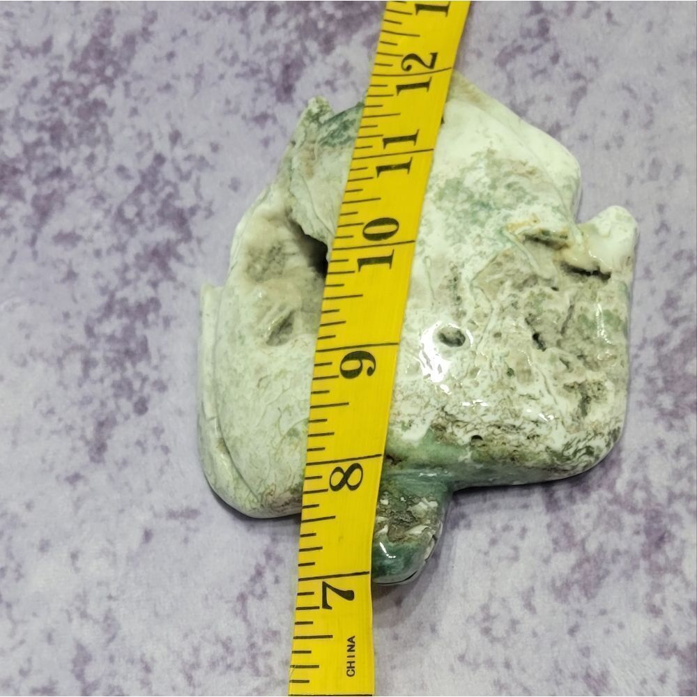 Moss Agate Sea Turtle‎ - Picture 4 of 5